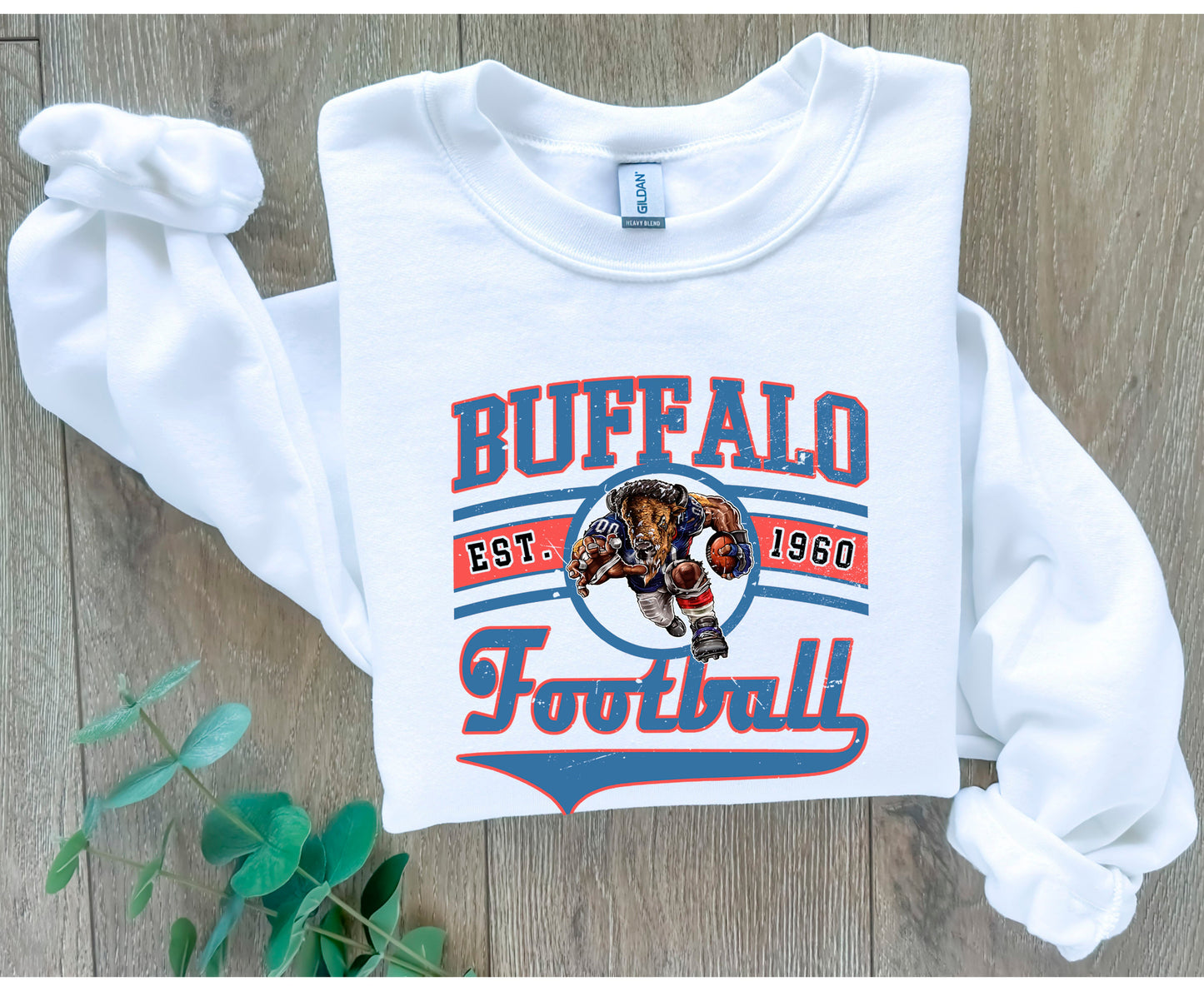 BUFFALO FOOTBALL 1960